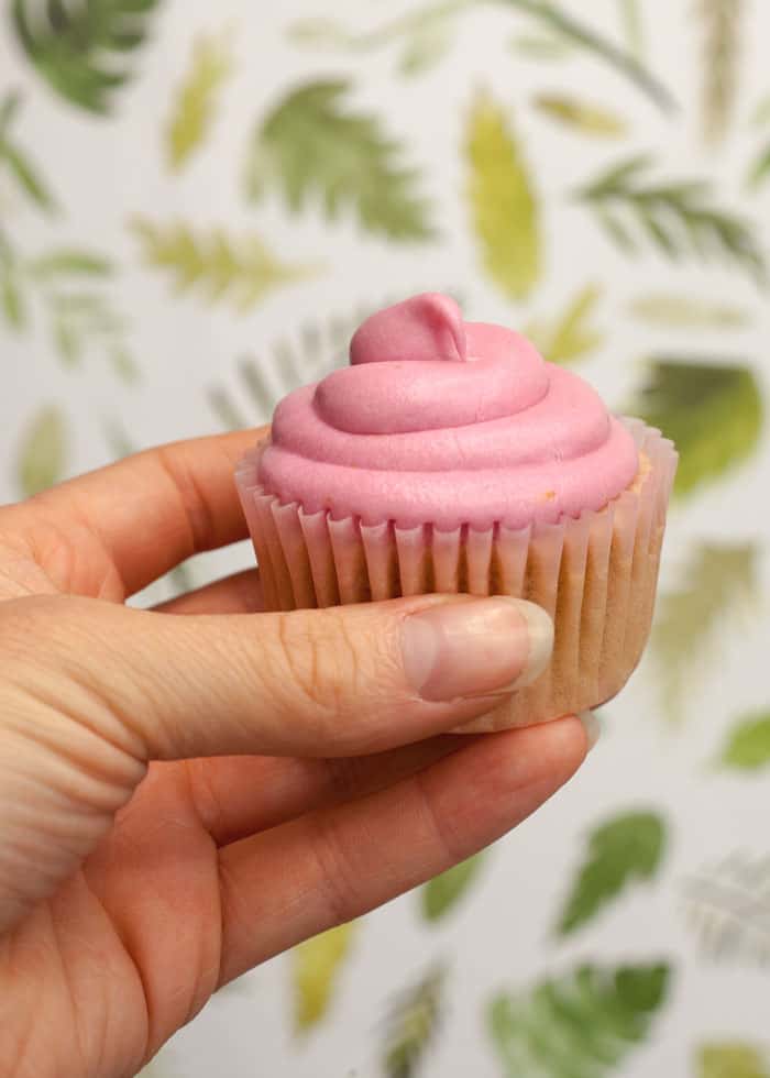 vegan Cupcake Recipe