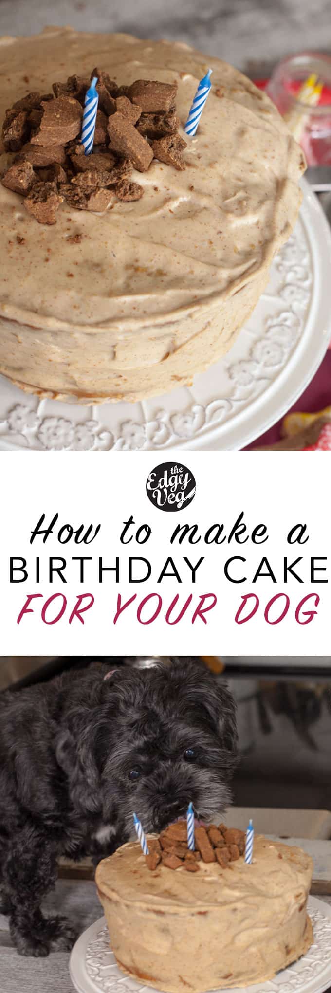 vegan dog cake