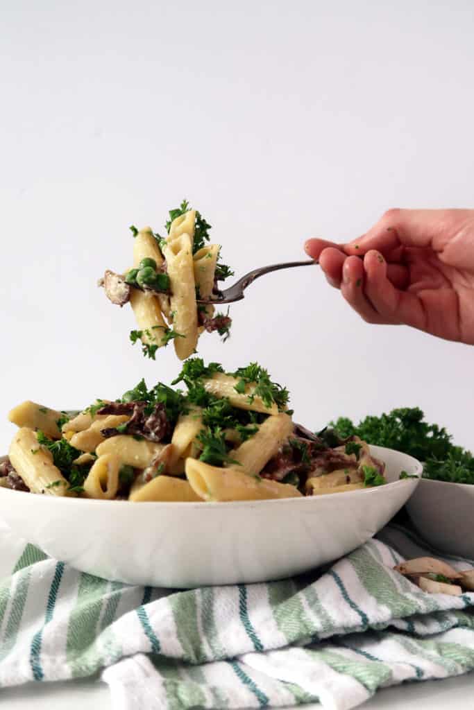 vegan mushroom cream sauce recipe