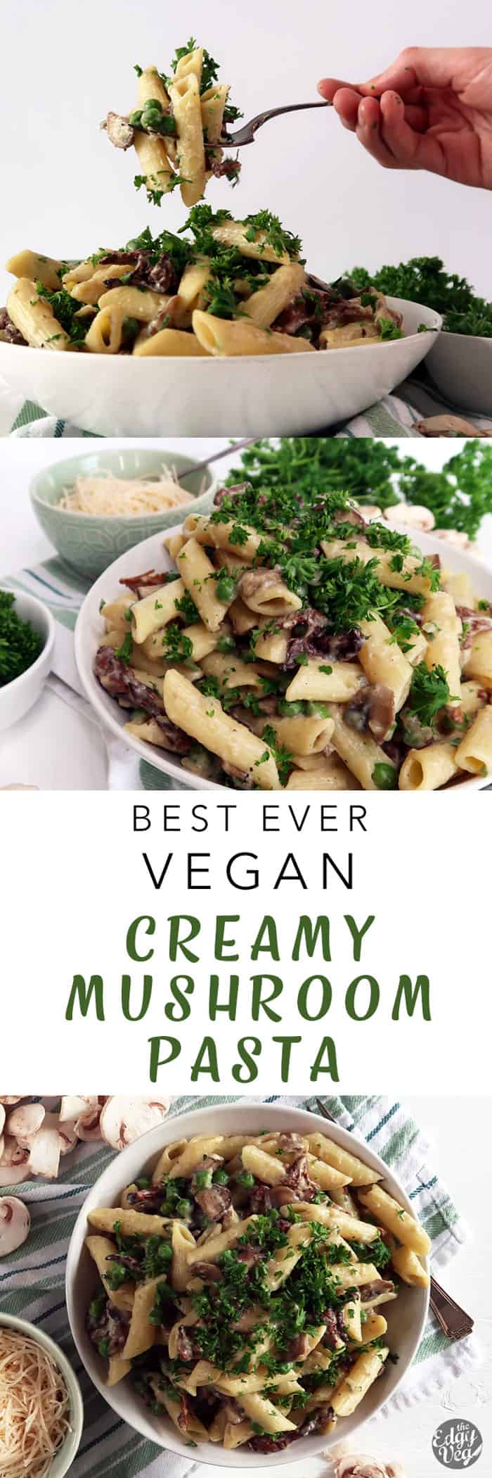 vegan mushroom cream sauce recipe