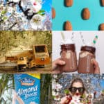 Where Almonds Come From