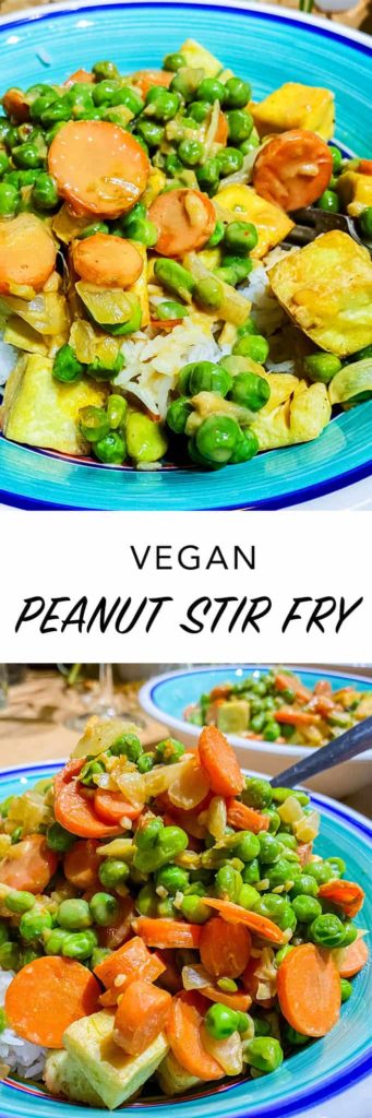 Vegan Peanut Stir Fry Recipe