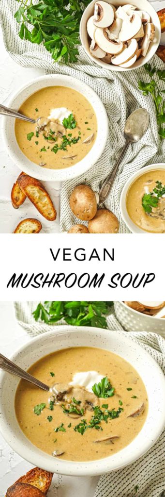 Vegan Mushroom Soup Recipe
